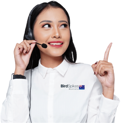 Bird Spikes Company customer support team member