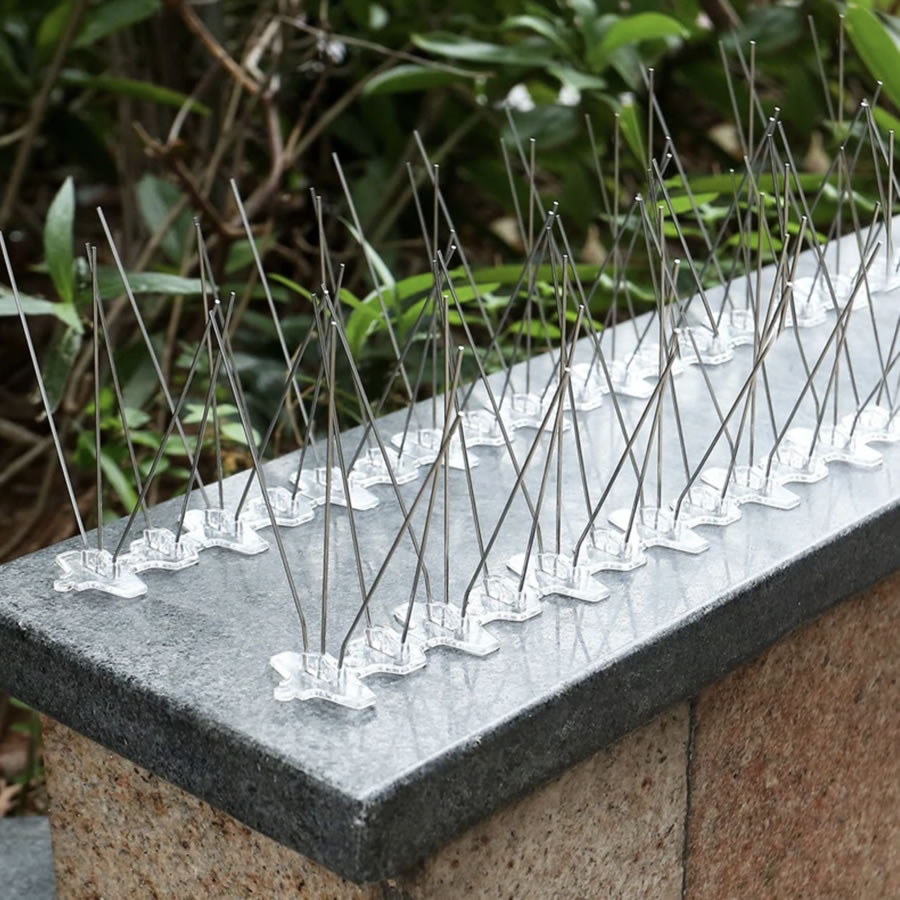 Stainless bird spike strips fitted along the top of a brick wall