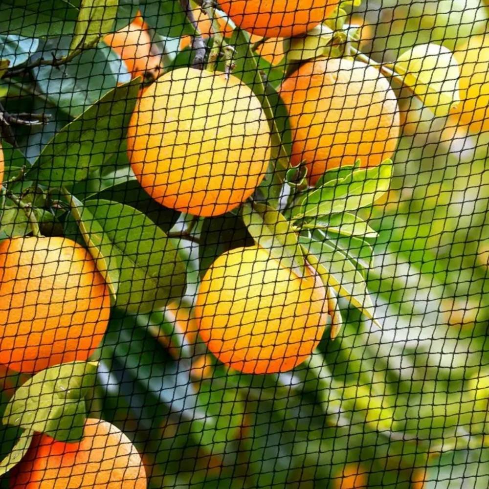 Bird Netting Mesh