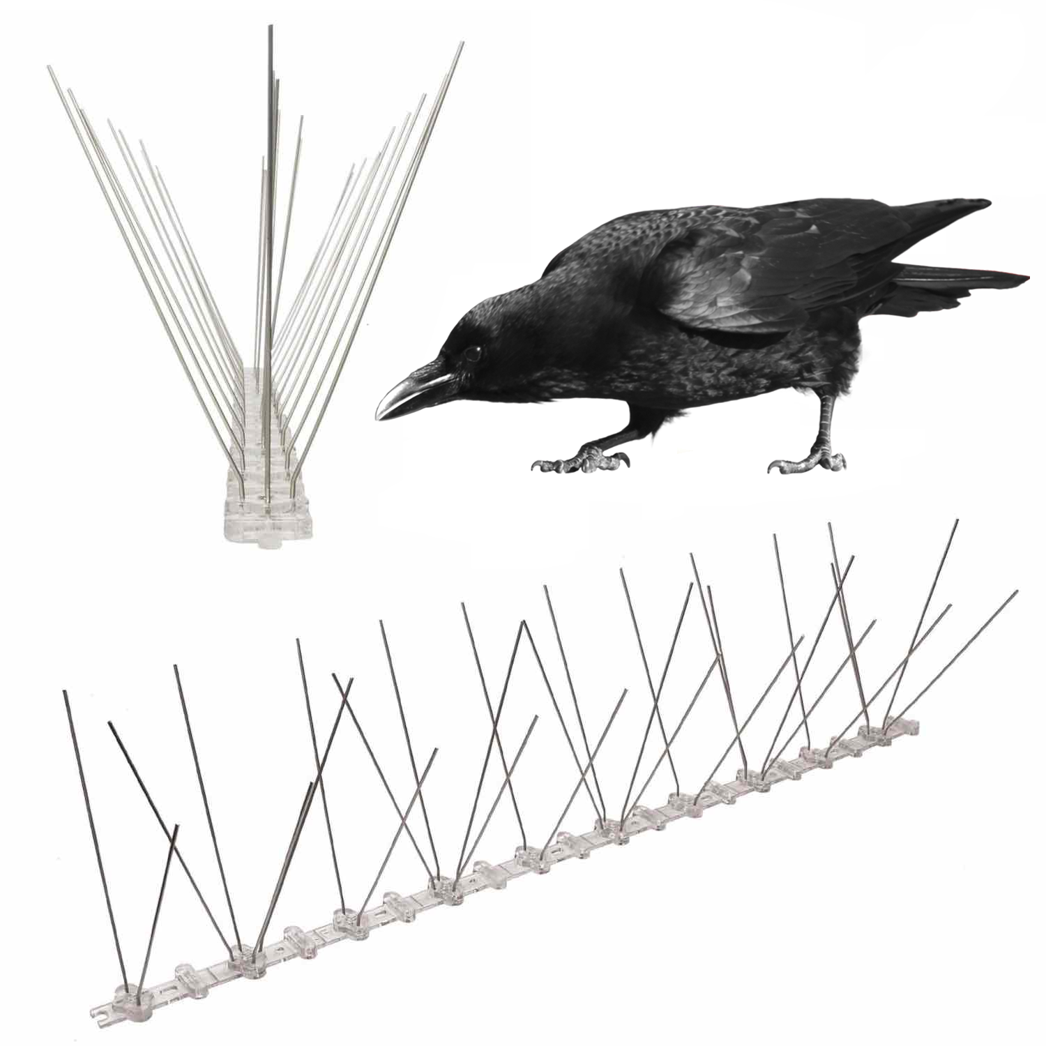 Crow Spikes - Stainless Steel