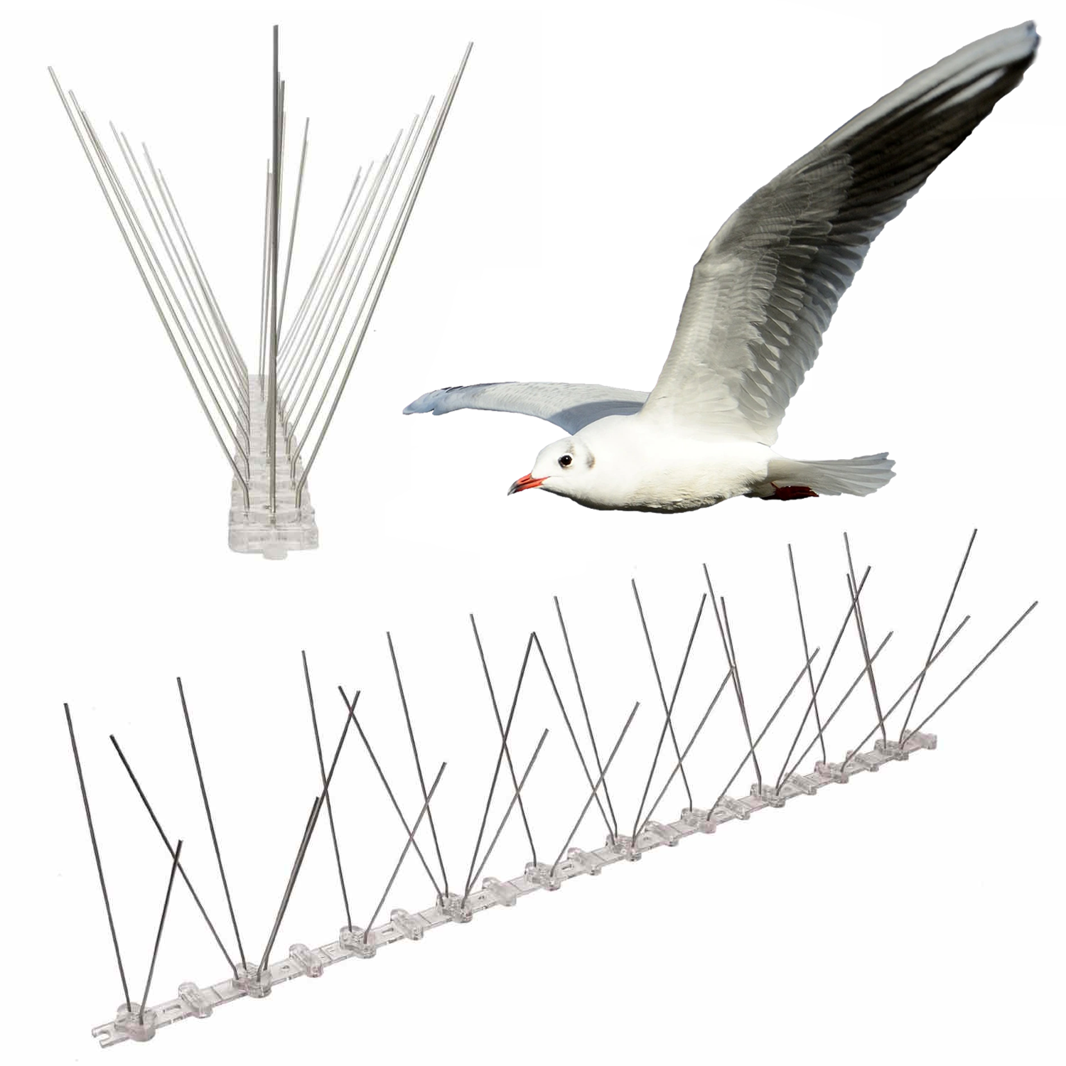 Seagull Spikes