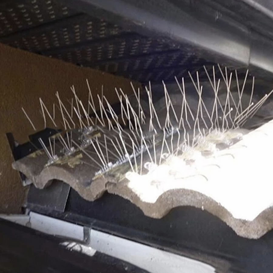 Seagull Spikes | Seagull Deterrent Spike Strips | Seagull Repellent Spikes (per 50cm strip): image 3