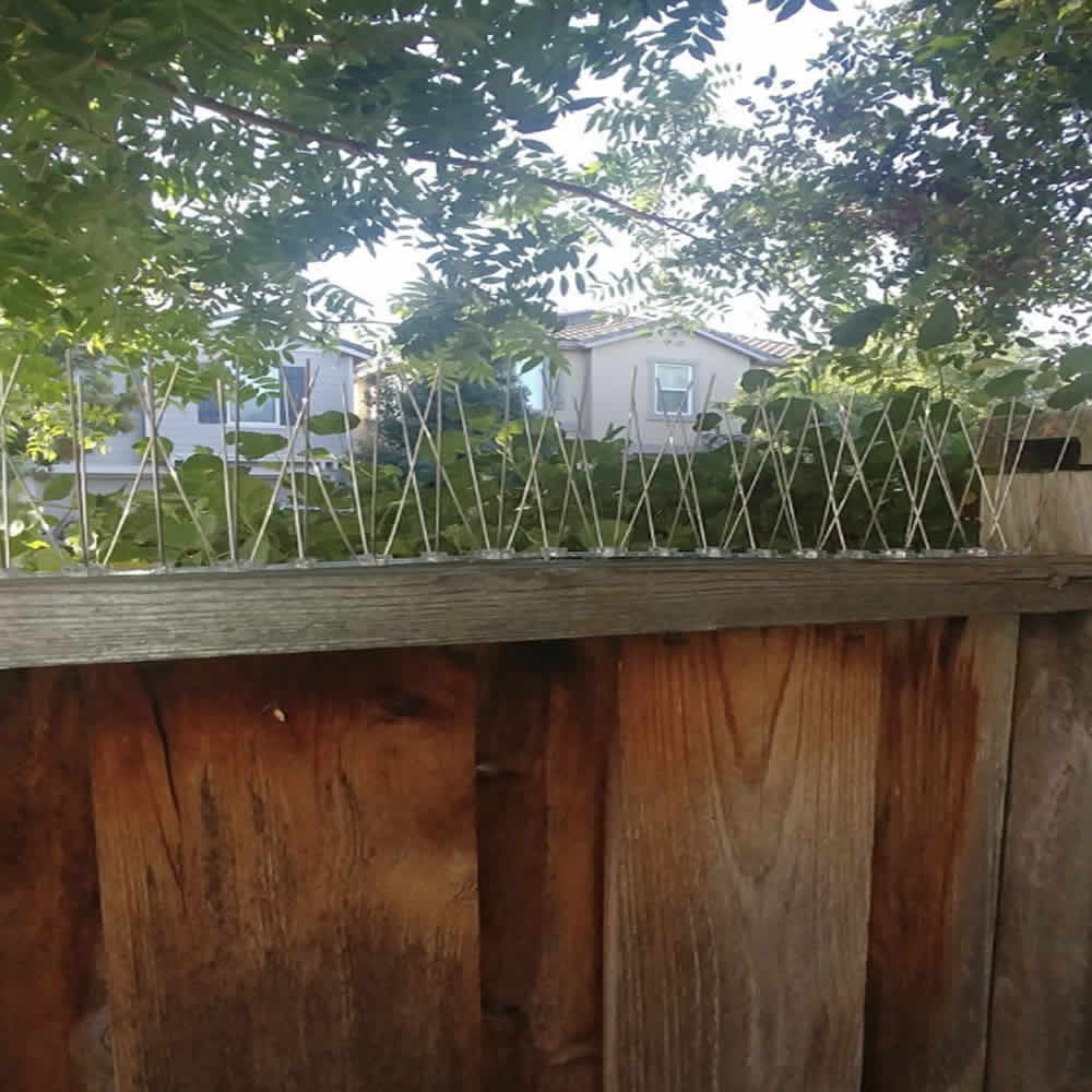 Seagull Spikes | Seagull Deterrent Spike Strips | Seagull Repellent Spikes (per 50cm strip): image 6