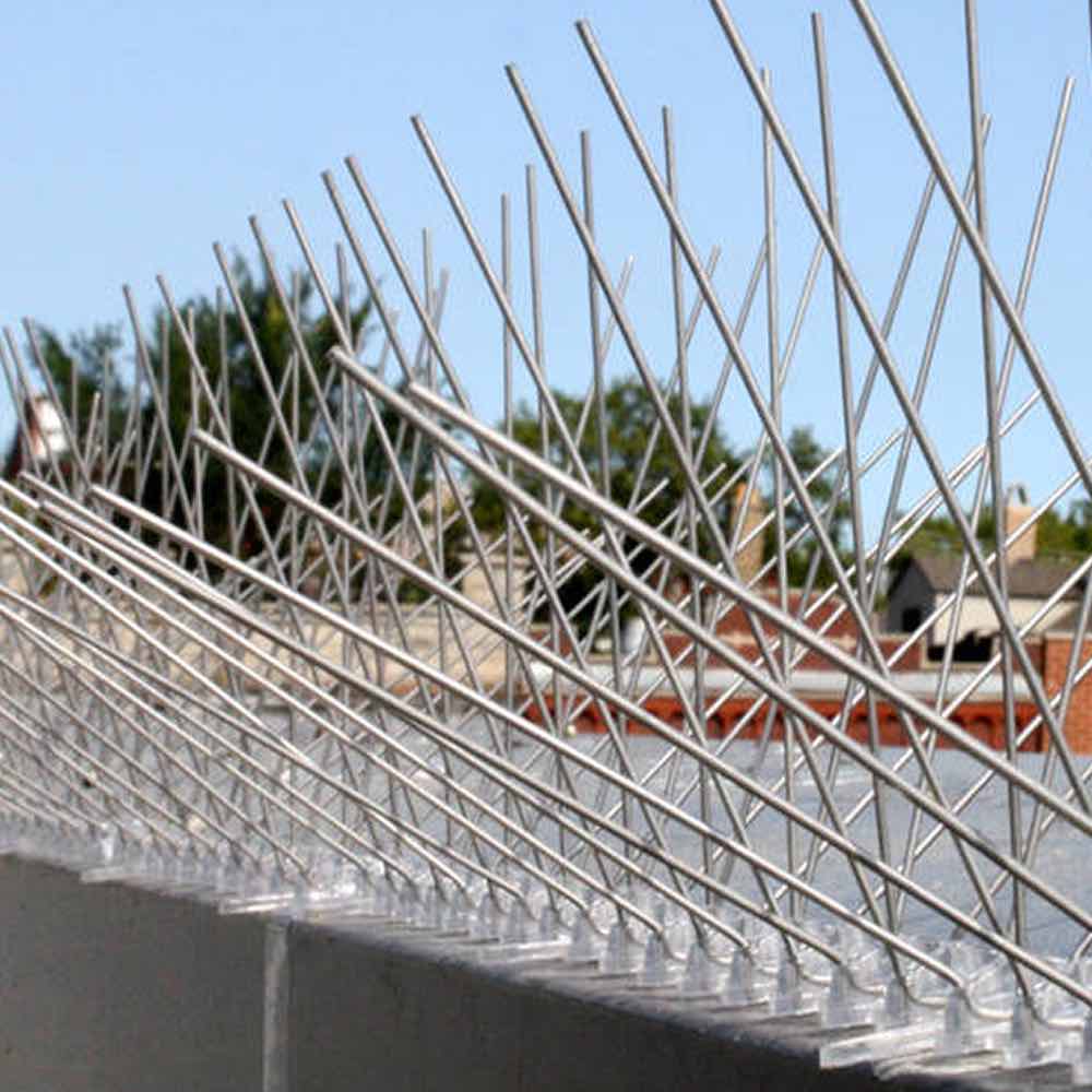 Anti-Wren Bird Spikes | Wren Deterrent Spike Strips | Wren Repellent Spikes (per 50cm strip): image 4