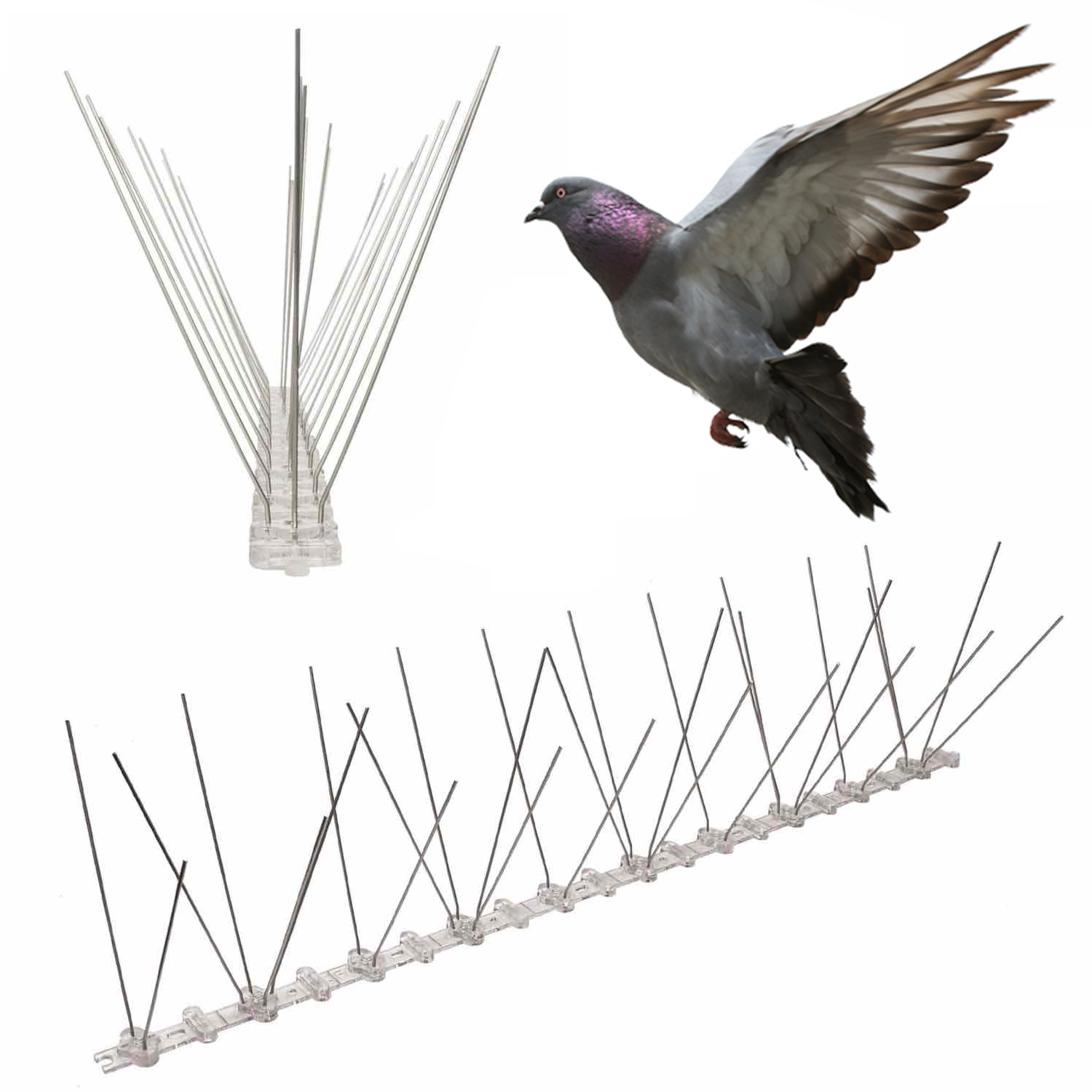 bird spikes for pigeons