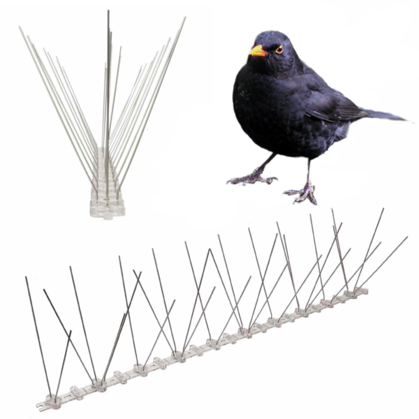 spikes to stop blackbirds